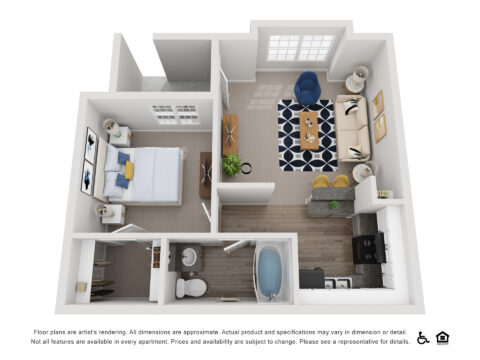 Conifer 1 bed 1 bath Floorplan